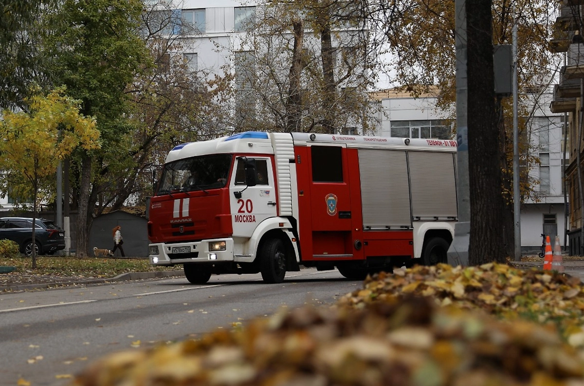 Обложка © Life.ru