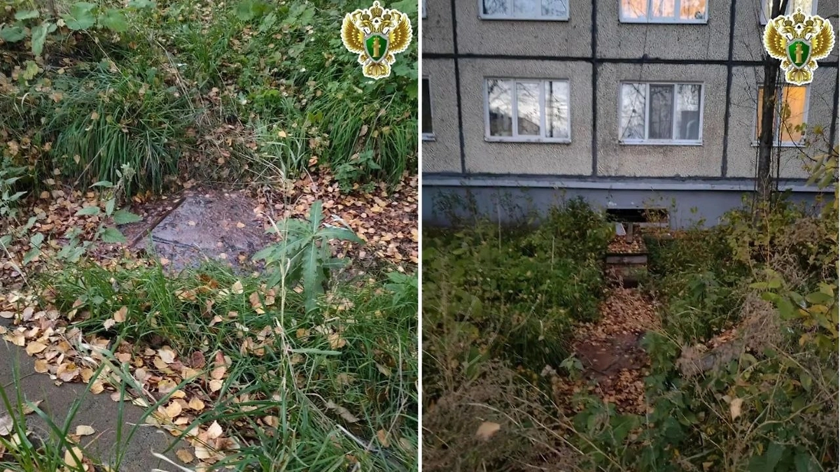 Обложка © VK/ Прокуратура Архангельской области и НАО