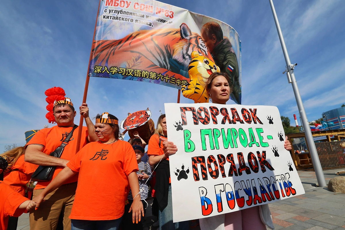 В Приморском крае тысячи людей отметили День амурского тигра. Видео © Telegram / Центр «Амурский тигр»