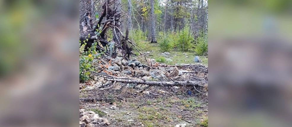 Обложка © VK / ЗЛОЙ И ДОБРЫЙ НАДЫМЧАНИН