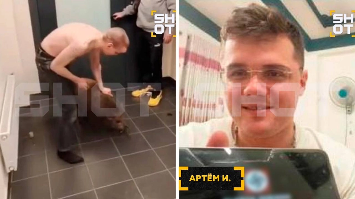 Треш-стримеры после скандала с кроликом порезали друга на стриме. Фото © Telegram / SHOT