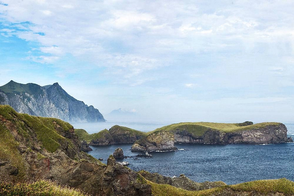 Обложка © Shutterstock / FOTODOM / Liudmila Kotvitckaia