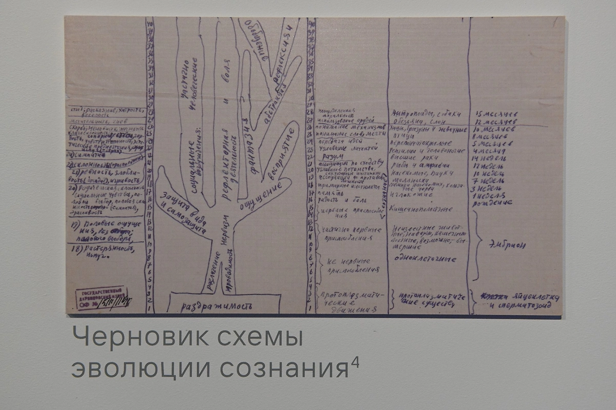 Черновик схемы эволюции сознания Надежды Ладыгиной-Котс: вопросы, которыми она занималась почти век назад, остаются актуальными для когнитивных наук и сегодня. Фото © Life.ru