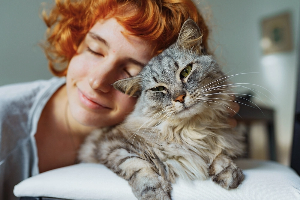Обложка © Shutterstock.com / FOTODOM / larisa Stefanjuk