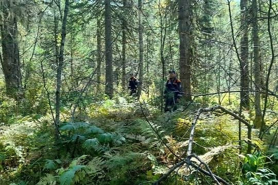 Обложка © VK / КГКУ «Спасатель»