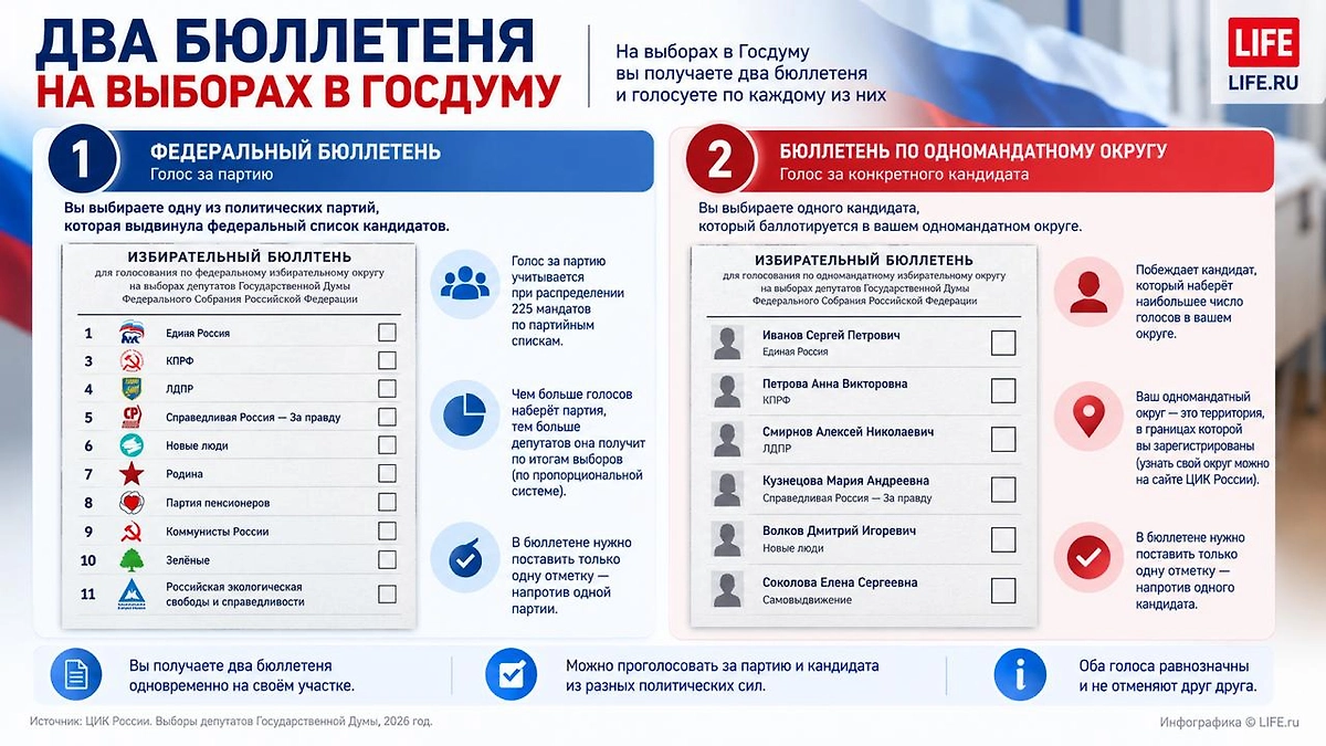 Как устроены выборы в Госдуму: 225 депутатов по партийным спискам и 225 по одномандатным округам. Инфографика © Life.ru
