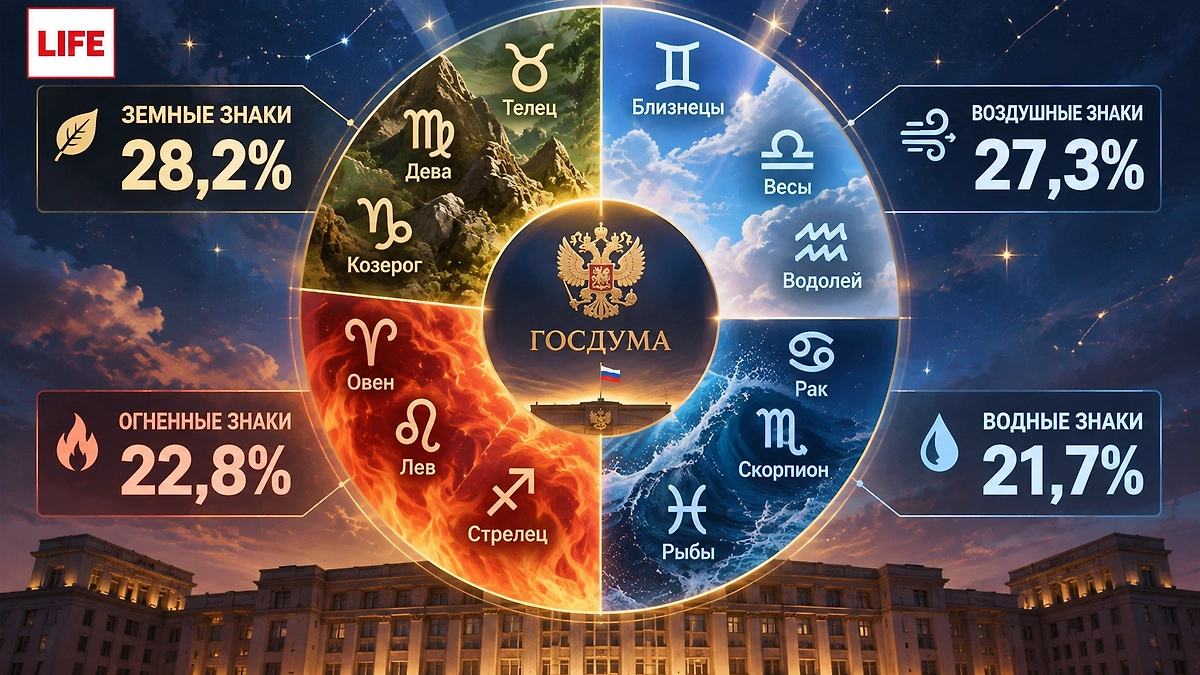 Соотношение стихий знаков зодиака в Госдуме в 2026 году. ИИ-иллюстрация: создано редакцией Life.ru с использованием ChatGPT (OpenAI)
