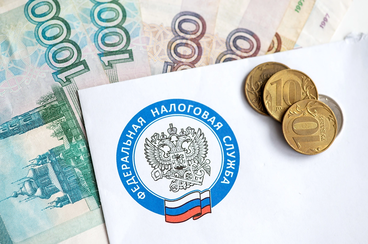 Налогообложение для самозанятых в 2026. Фото © Shutterstock / FOTODOM / Yulia Vasilyeva