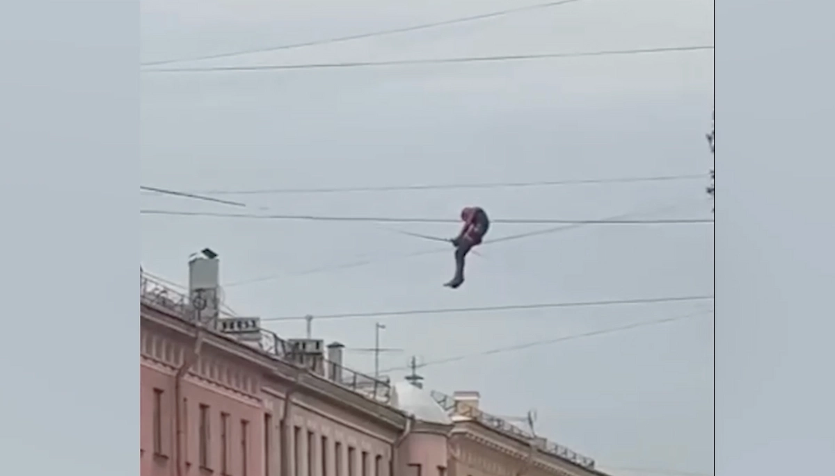 Обложка © Instagram (признан экстремистской организацией и запрещён на территории Российской Федерации)/ my_piter_news