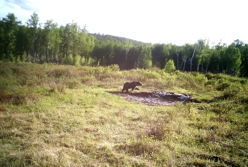 Обложка © VK / Забайкальский край