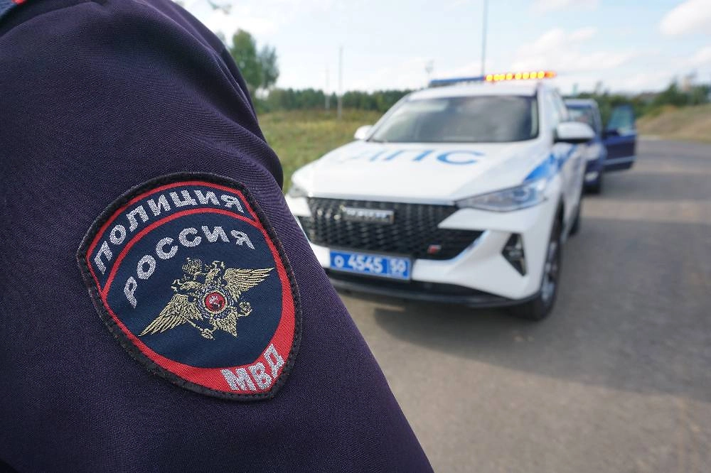 Обложка © ТАСС / Александр Артёменков