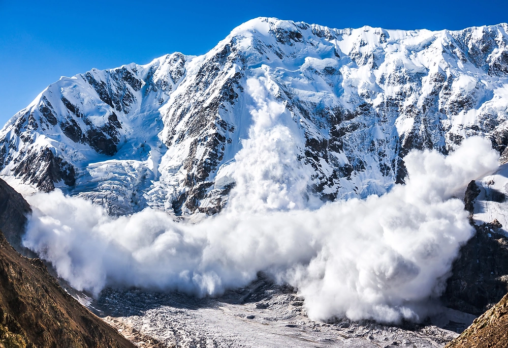 Обложка © Shutterstock / FOTODOM /Lysogor Roman