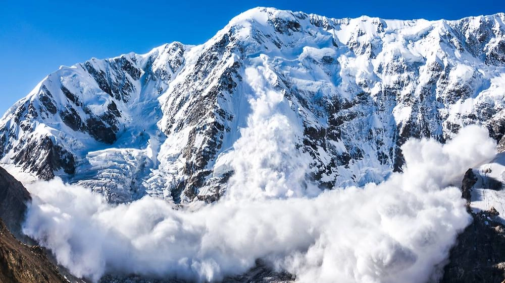 Обложка © Shutterstock / FOTODOM / Lysogor Roman