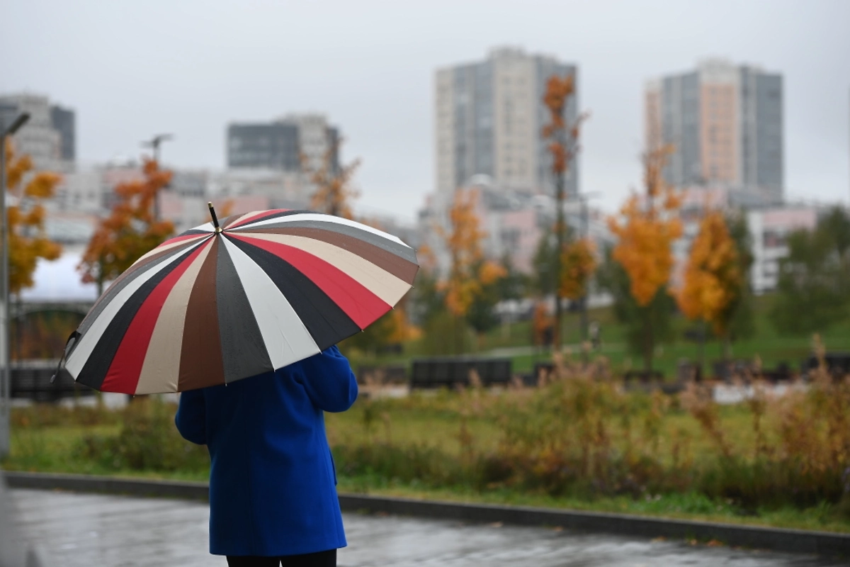 Обложка © Life.ru