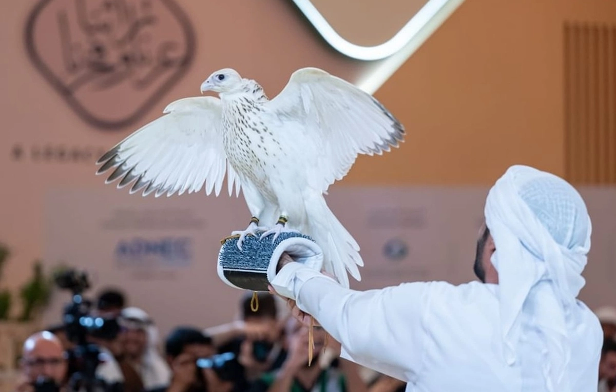 Обложка © X/ sharjah24