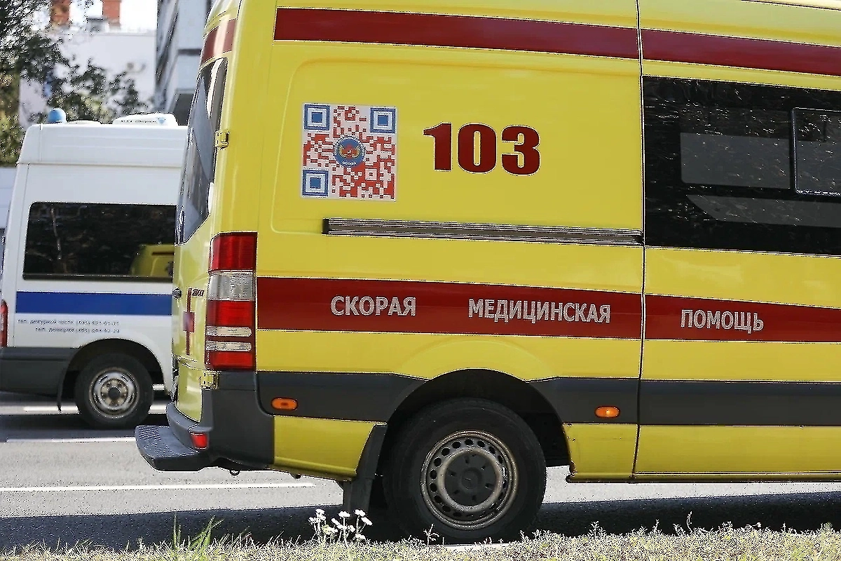 Обложка © Life.ru