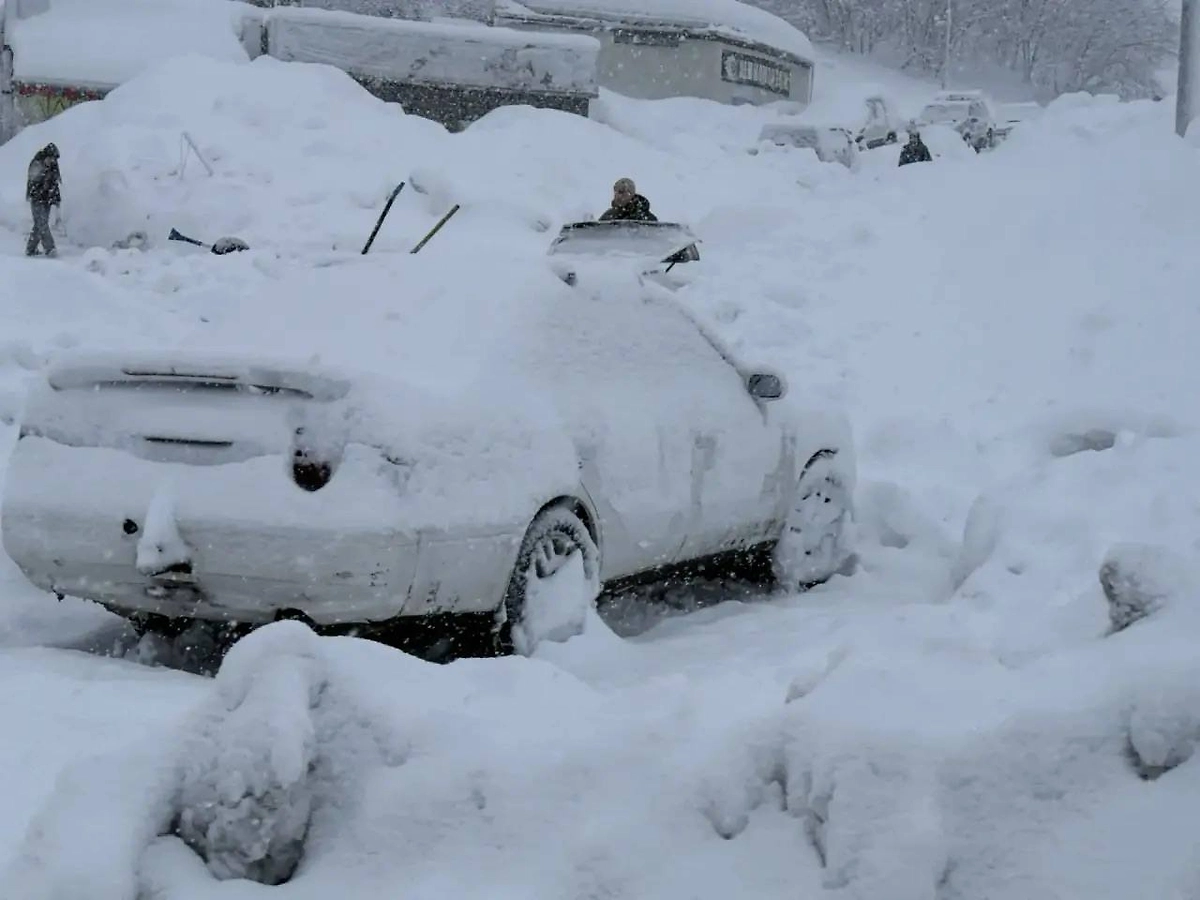 Обложка © Telegram / kamgov41