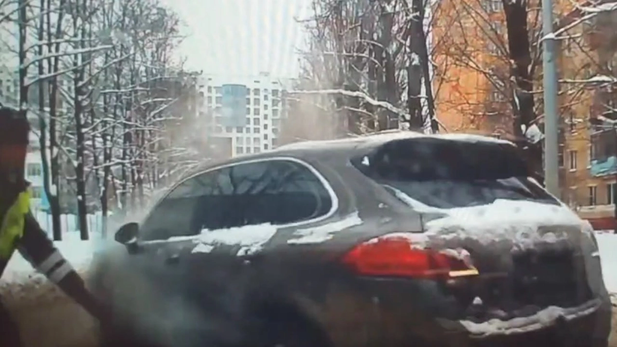 Обложка © Telegram / Ирина Волк