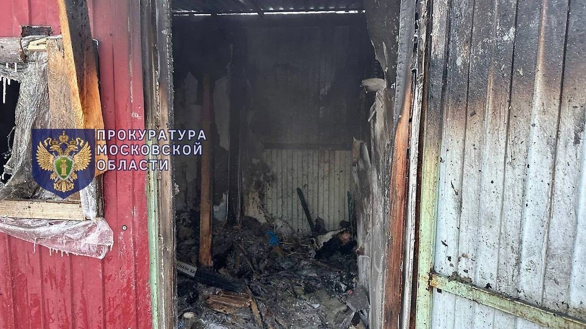 В Подмосковье ребёнок погиб при пожаре в хозяйственной постройке. Фото © Telegram /Прокуратура Московской области