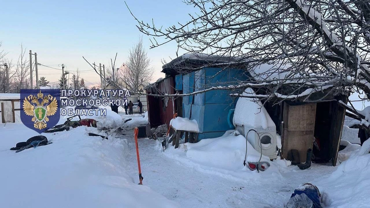 В Подмосковье ребёнок погиб при пожаре в хозяйственной постройке. Фото © Telegram /Прокуратура Московской области