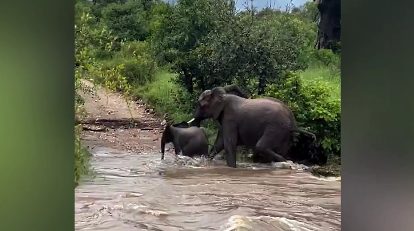 Обложка © X/ The Instigator