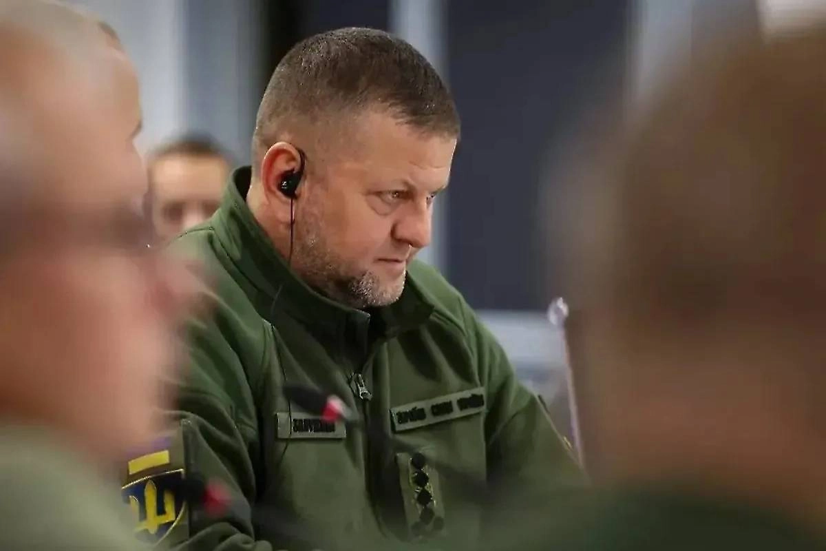 Валерий Залужный. Обложка © Минобороны Украины