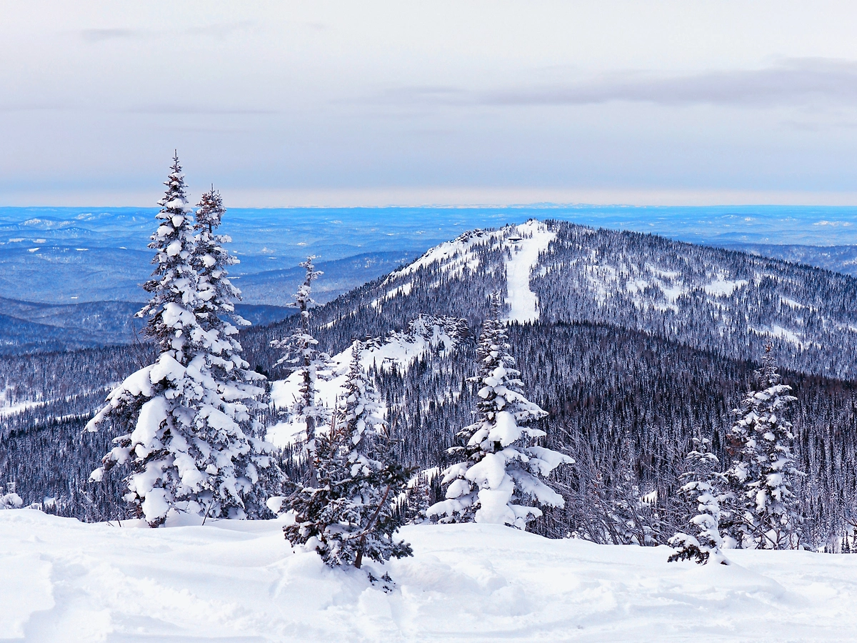 Обложка © Shutterstock / FOTODOM / TsibaevAlex