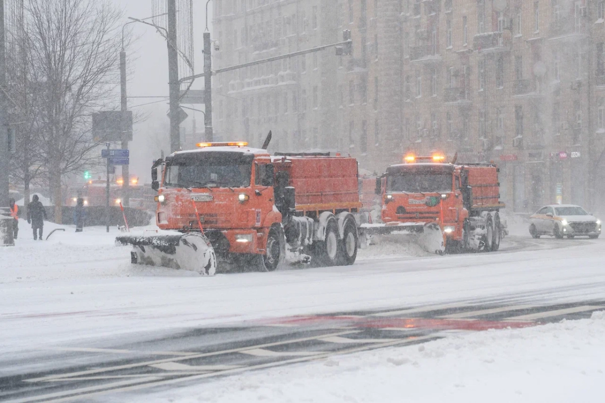 Обложка © Комплекс городского хозяйства Москвы