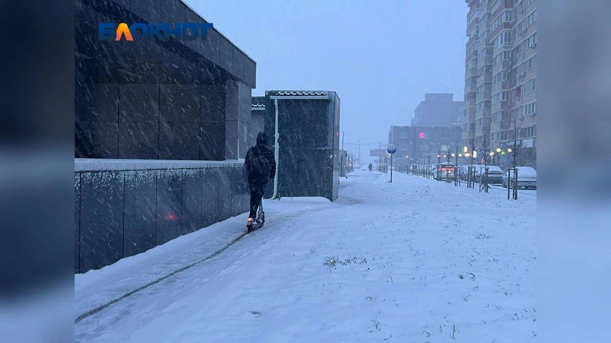 Краснодар завалило снегом. Фото © Telegram / Блокнот Краснодар