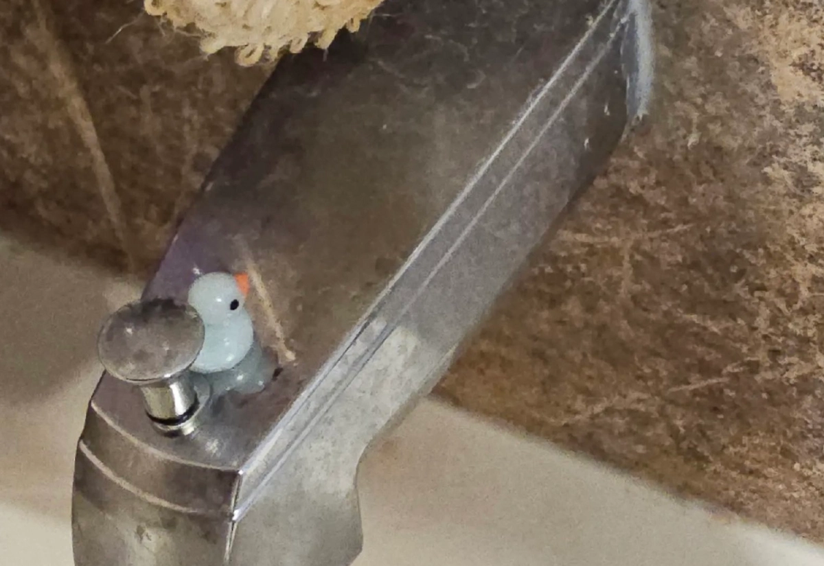 Британец разложил игрушки по дому и попросил уборщицу найти их. Фото © Х / PatsKam