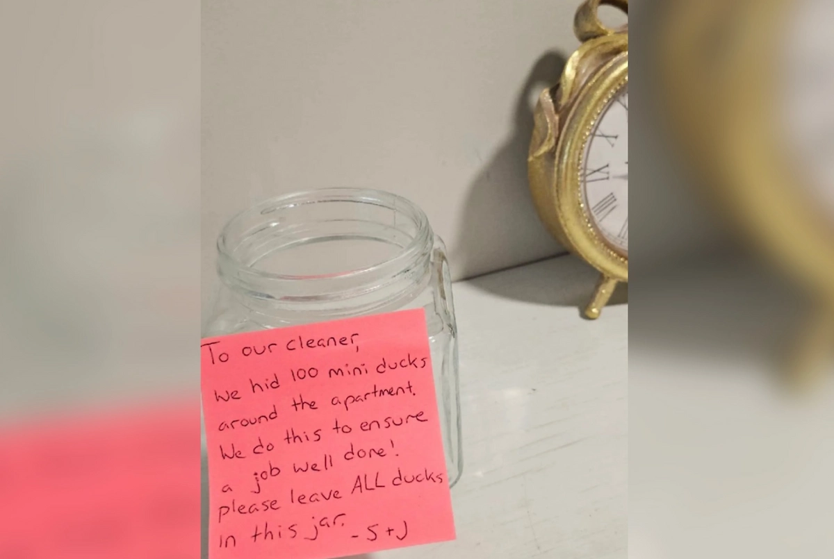 Британец разложил игрушки по дому и попросил уборщицу найти их. Фото © Х / PatsKam