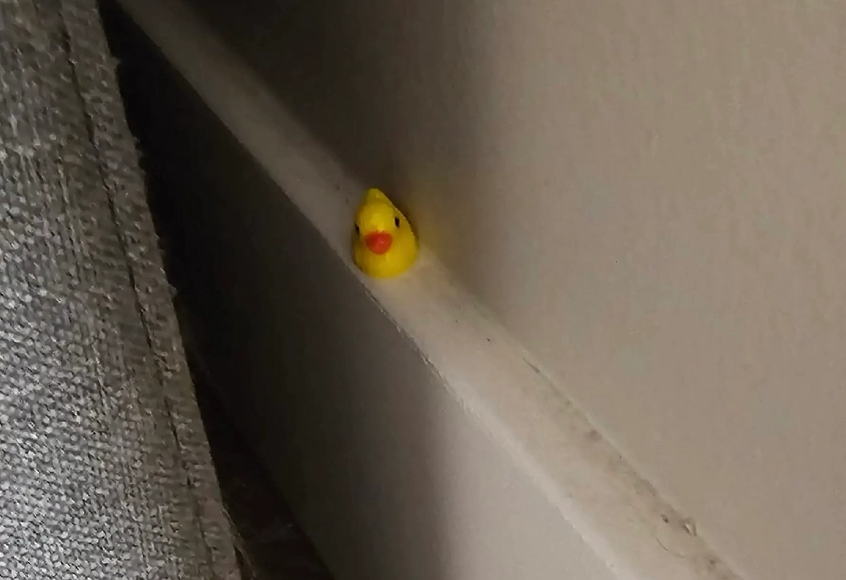 Британец разложил игрушки по дому и попросил уборщицу найти их. Фото © Х / PatsKam