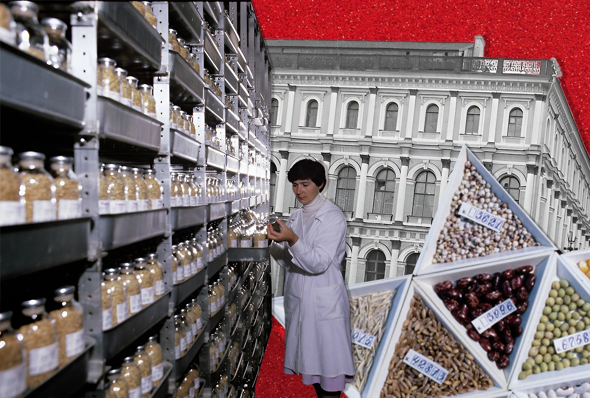 Коллаж © Life.ru. Обложка © РИА «Новости» / Олег Галушко, В. Барановский