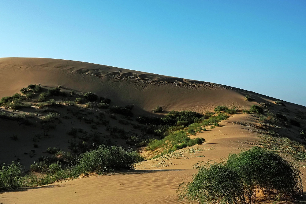 Бархан Сарыкум в Дагестане — высочайший песчаный бархан Европы. Фото © РИА «Новости» / Владимир Песня