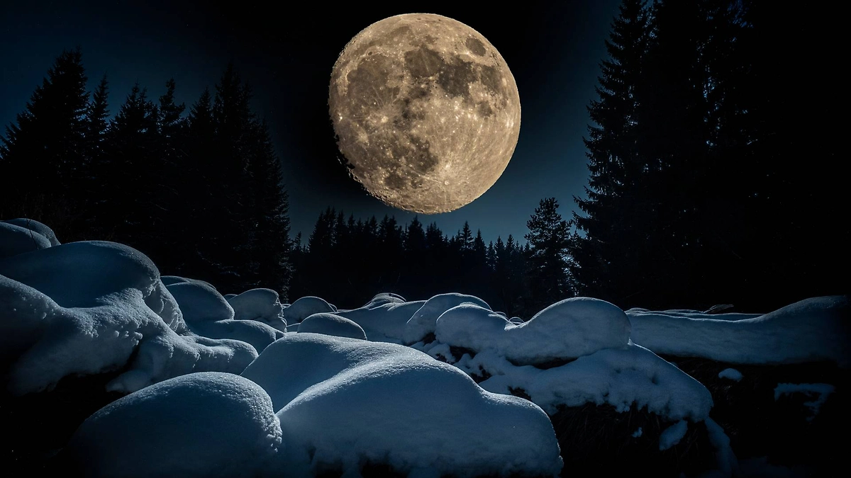 Полнолуние 1 февраля 2026 года: Что такое Снежная Луна и откуда взялось название. Фото © Shutterstock / FOTODOM / Kuttelvaserova Stuchelova