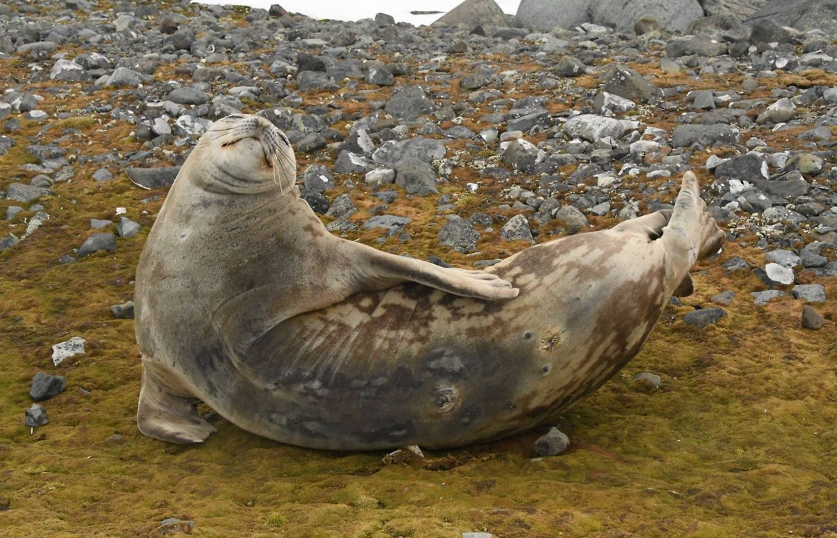 Фото © Instagram (признан экстремистской организацией и запрещён на территории Российской Федерации) / __nkoroleva