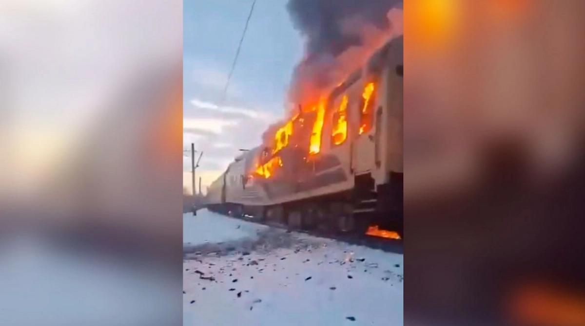 Обложка © Х / @maria_avd