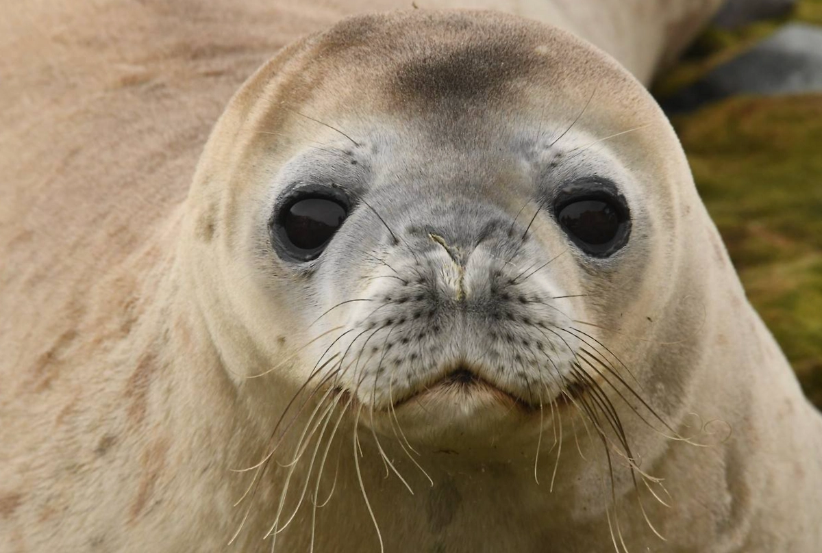 Фото © Instagram (признан экстремистской организацией и запрещён на территории Российской Федерации) / __nkoroleva