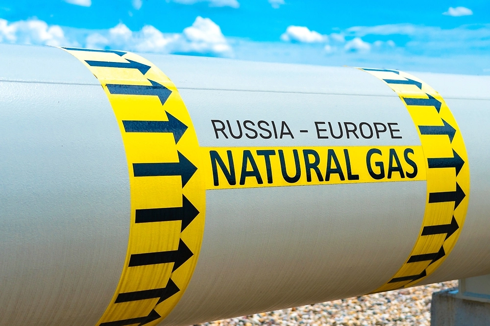 Обложка © Shutterstock / FOTODOM / sdf_qwe