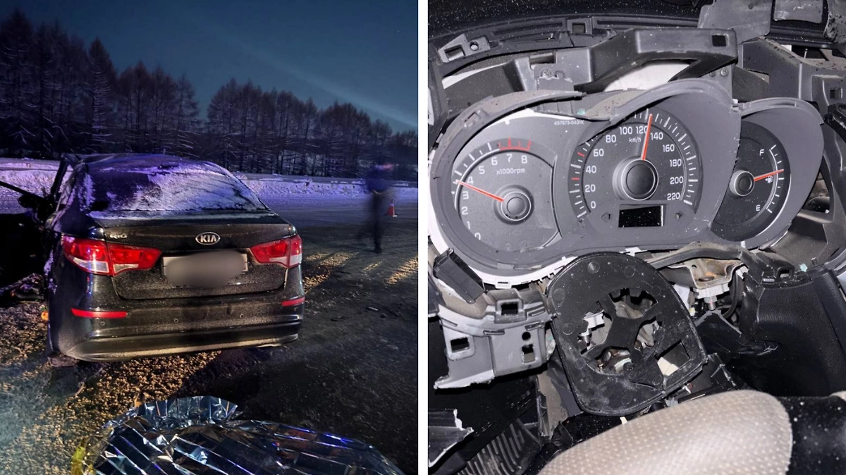 Фото ©  Telegram / Госавтоинспекция ЧУВАШИИ