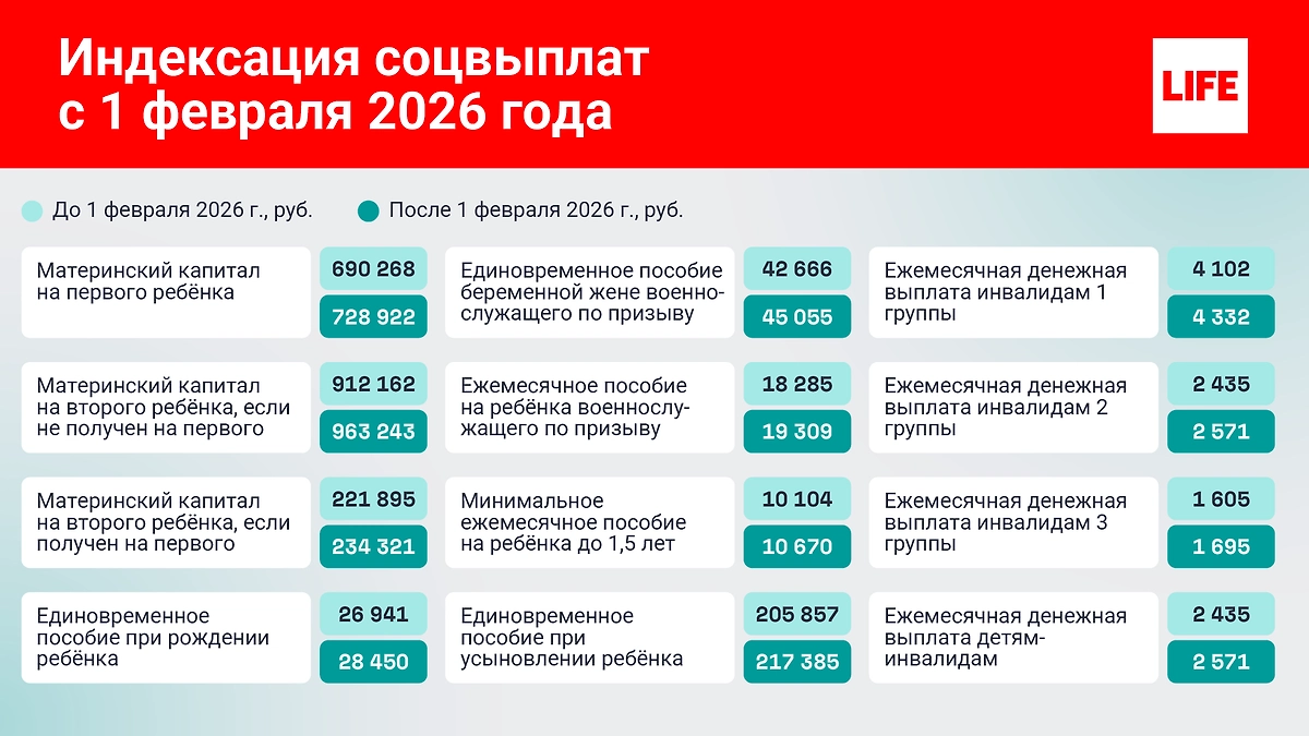 Инфографика © Life.ru