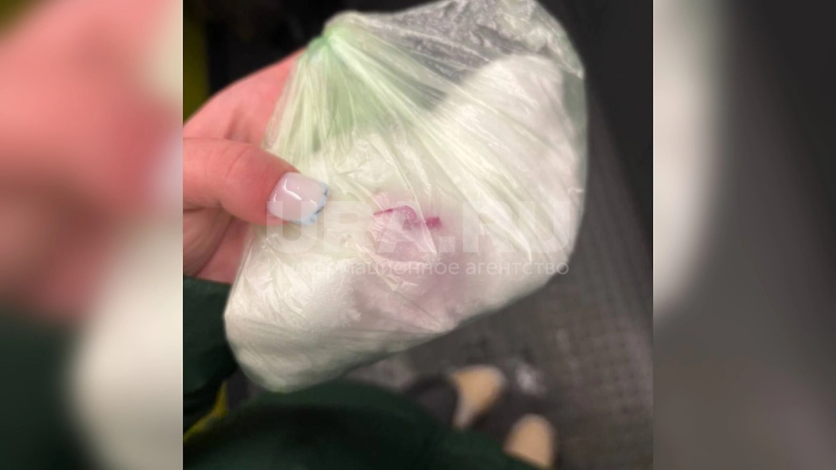 В ЖК «Мещерский лес» в Москве, где массово гибнут собаки, очевидцы заметили снег странного цвета. Фото © Telegram / URA.RU