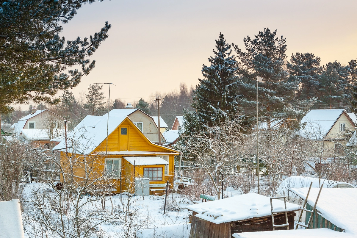 Обложка © Shutterstock / FOTODOM / Sergey Dubrov