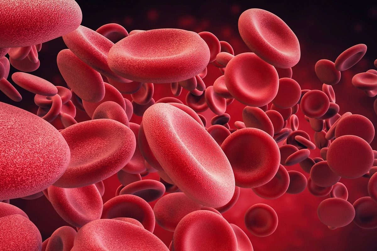 Связь между группой крови и характером человека: научные факты. Фото © Shutterstock / FOTODOM /Anas Sarfraz