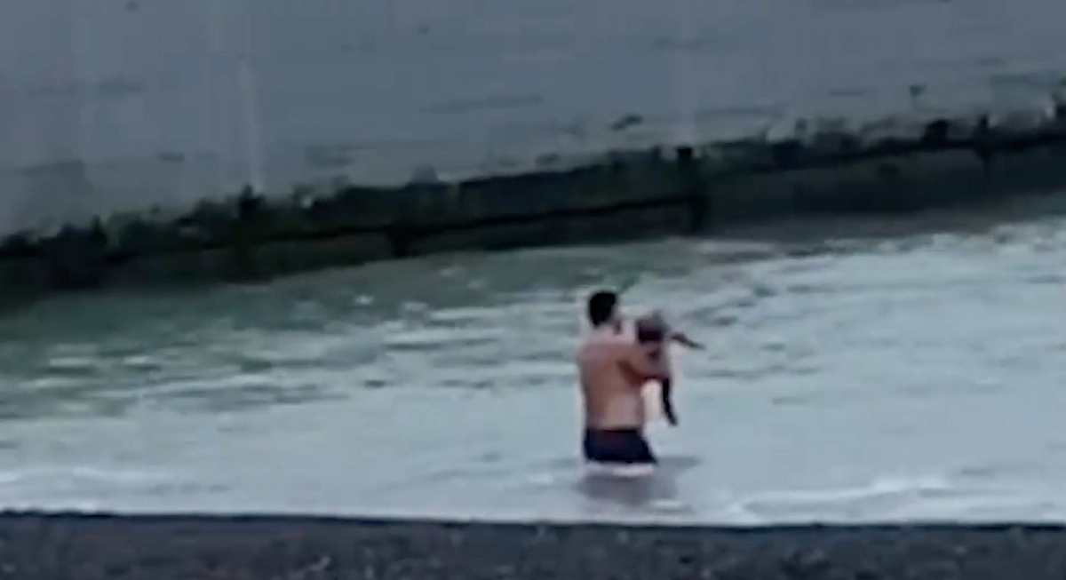 Обложка © Telegram/ Осторожно, новости