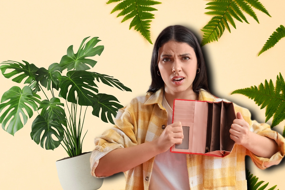 Эксперт по фэншуй объяснила, какие комнатные растения лучше не держать дома. Обложка © Коллаж © Life.ru. Фото © Shutterstock / FOTODOM / Pixel-Shot, © Freepik / tohamina