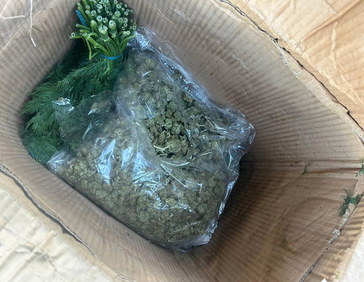 Обложка © Telegram / Россельхознадзор