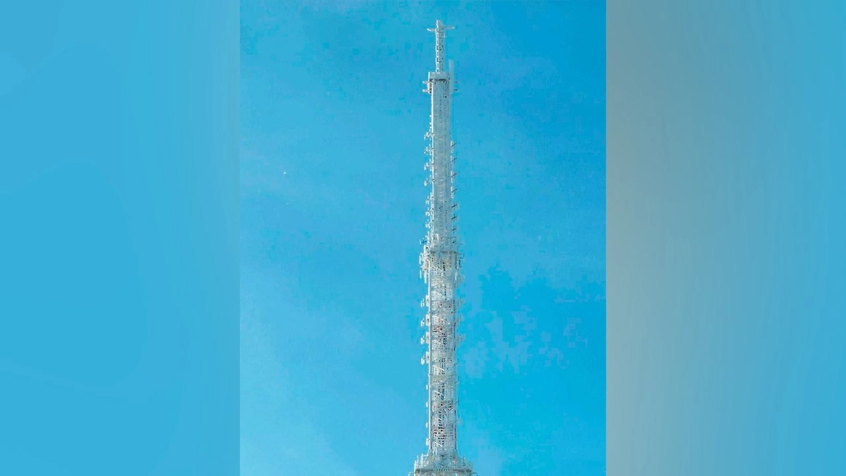 Телебашня в Петербурге покрылась льдом. Обложка © Telegram / Фонтанка SPB Online / Сергей Михайличенко