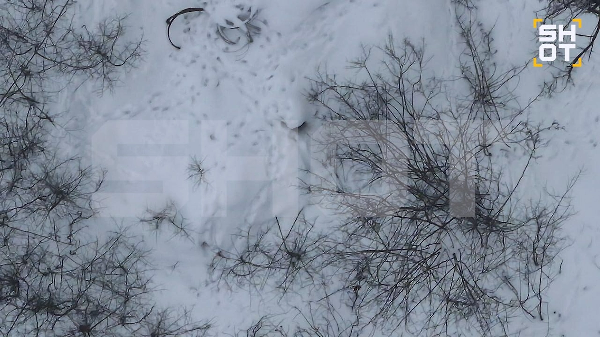 Следы солдат ВСУ. Фото © Telegram / SHOT