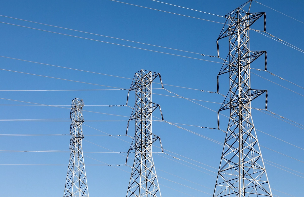 Обложка © freepik / wirestock